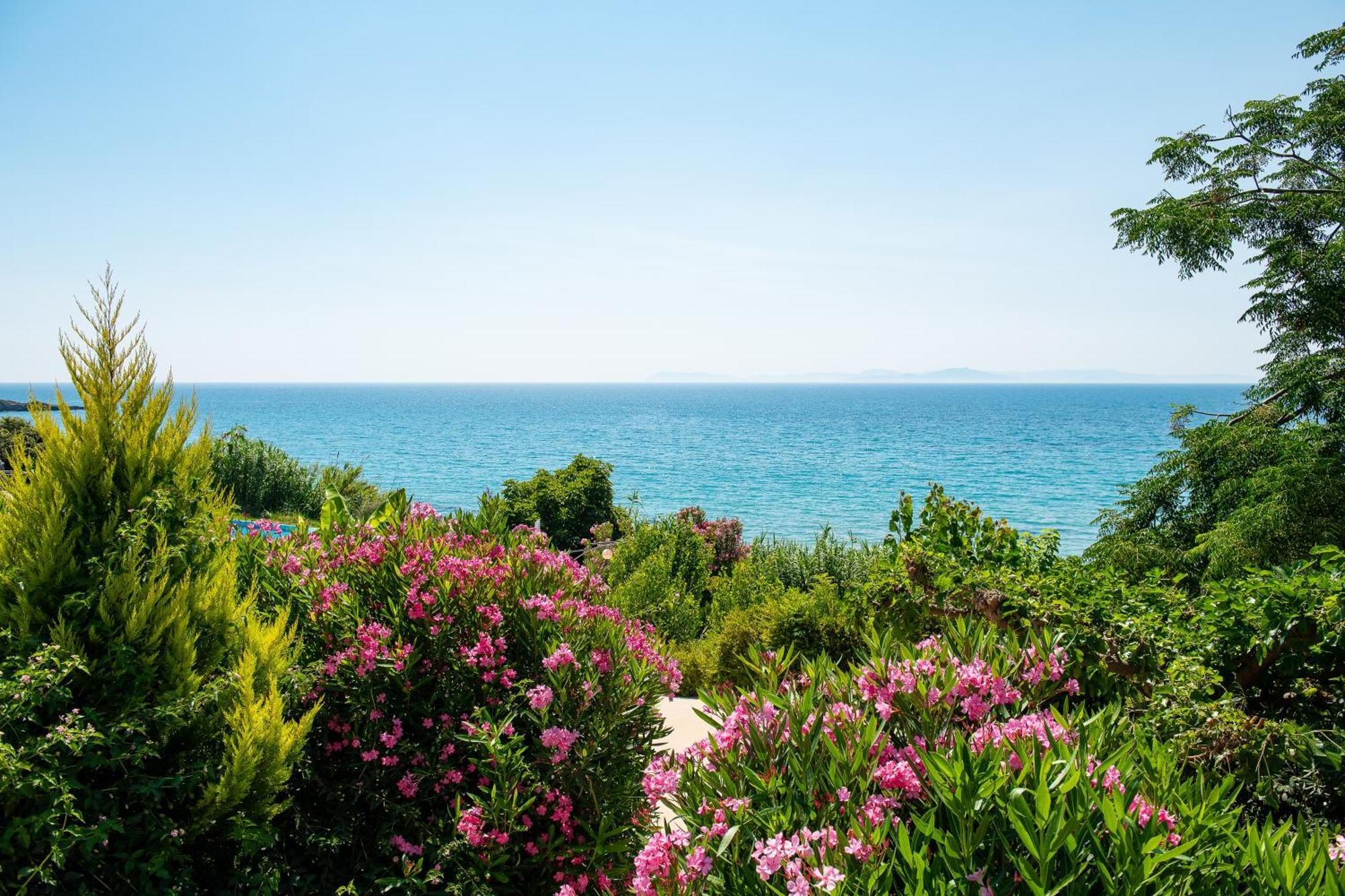Mare Dei Suites Hotel Ionian Resort Skafidia Eksteriør billede